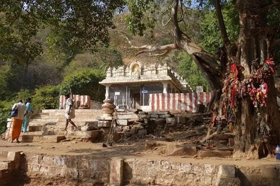 malola narasimha