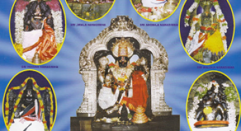 Nava Narasimhas In Telugu States