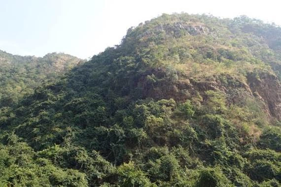 place of hiranya kasipu palace