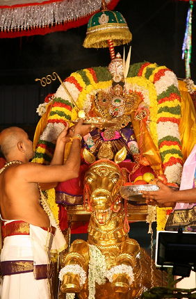 goddess Padmavati Devi on ashwa vahanam