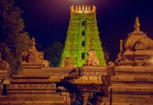 Srisailam Mruthyunjaya Homam srisailam mruthyunjaya homam