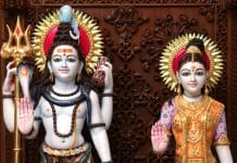 Srisailam Sarpa Dosha Nivarana Pooja srisailam sarpadosha nivarana pooja