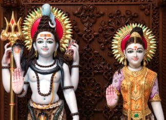 Srisailam Sarpa Dosha Nivarana Pooja srisailam sarpadosha nivarana pooja