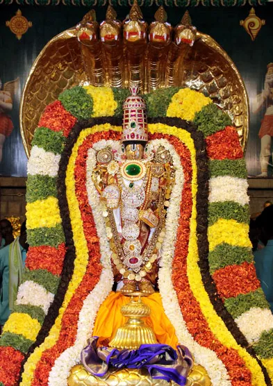 chinna sesha vahanam tirumala