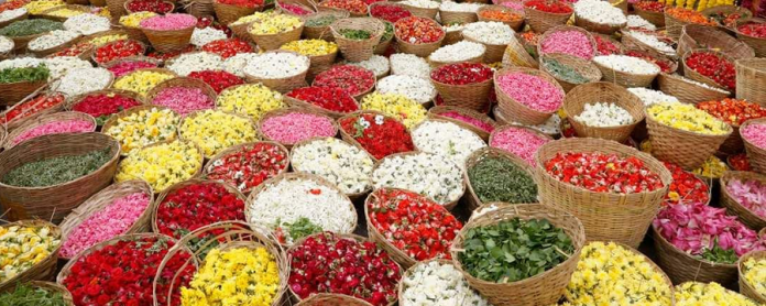 flowers used in pushpayagam