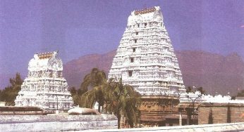 Sri Kalyana Venkateswara Swamy Sevas & Temple Timings, Narayanavanam