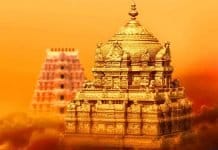 Mumbai Tirupati Flight Package With Special Entry Darshan IRCTC Divine Balaji Darshan