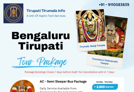 aptdc tour packages from chennai