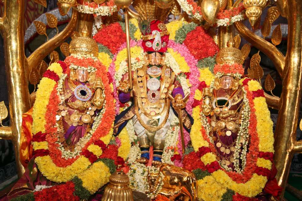 Virtual Kalyanotsavam at Srinivasa Mangapuram - 2022 - Details Virtual Kalyanotsavam at Srinivasa Mangapuram - 2022 - Details