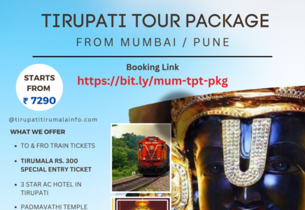 ttdc tour packages from chennai price for family