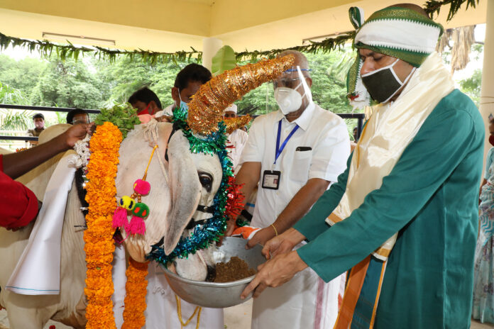 Gopuja Mahotsavam In SV Gosala