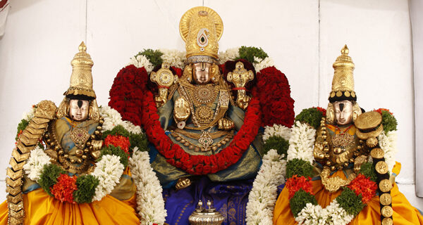 Jyeshtabhishekam at Sri Govindaraja Swamy Temple Archives - Tirupati ...