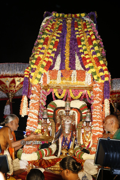 Sarva Bhoopala Vahanam