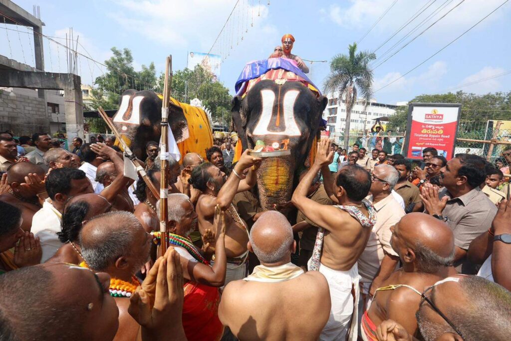 Saare to Ammavaru from Tirumala Elephant 1