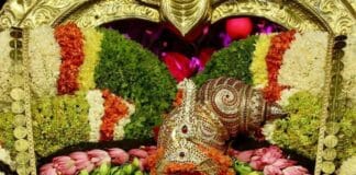 Sri Padmavathi Ammavari Karthika Brahmotsavams – 2025 karthika Brahmotsavams