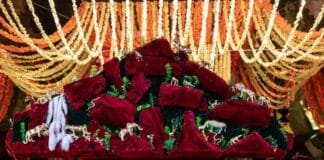 Options for Tirumala Darshan Without Advance Booking Tirumala Darshan without advance booking