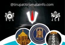 APTDC Bangalore Tirupati Package – SSD