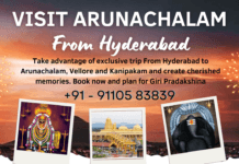 TGTDC Hyderabad to Arunachalam Package TGTDC Hyderabad to Arunachalam Package