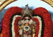 One Day Brahmotsavam At Tirumala – Rathasapthami 2026 Rathasapthami