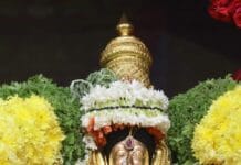 Rathasapthami at Tiruchanur – 2026 Rathasapthami at Tiruchanur