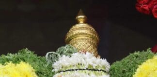 Rathasapthami at Tiruchanur – 2026 Rathasapthami at Tiruchanur